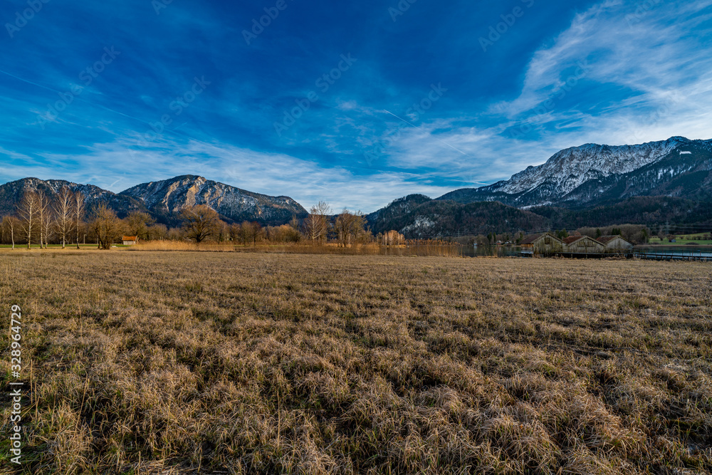 Fototapeta premium Blick über das frostige Schilf auf Jochberg und Herzogstand