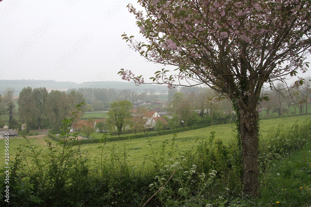  the village in the valley seen from the hil