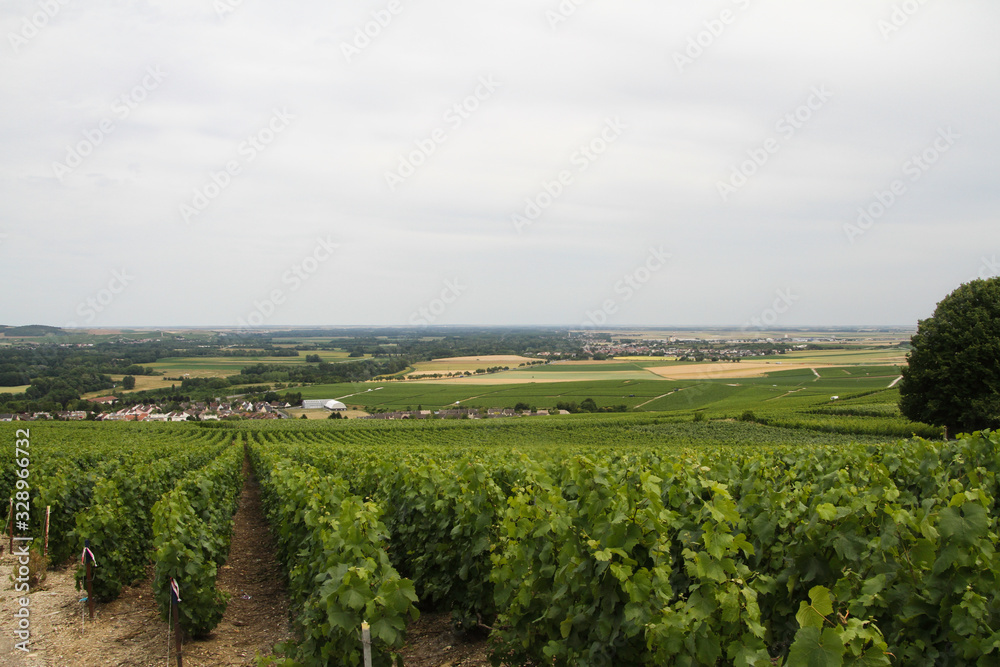  a landscape of vineyards and villages in the middle of it