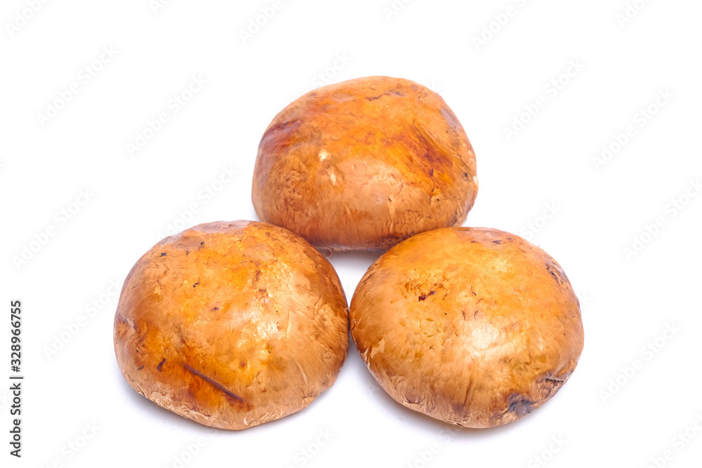 Portabello mushroom isolated on white background Portabello mushroom isolated on white background
