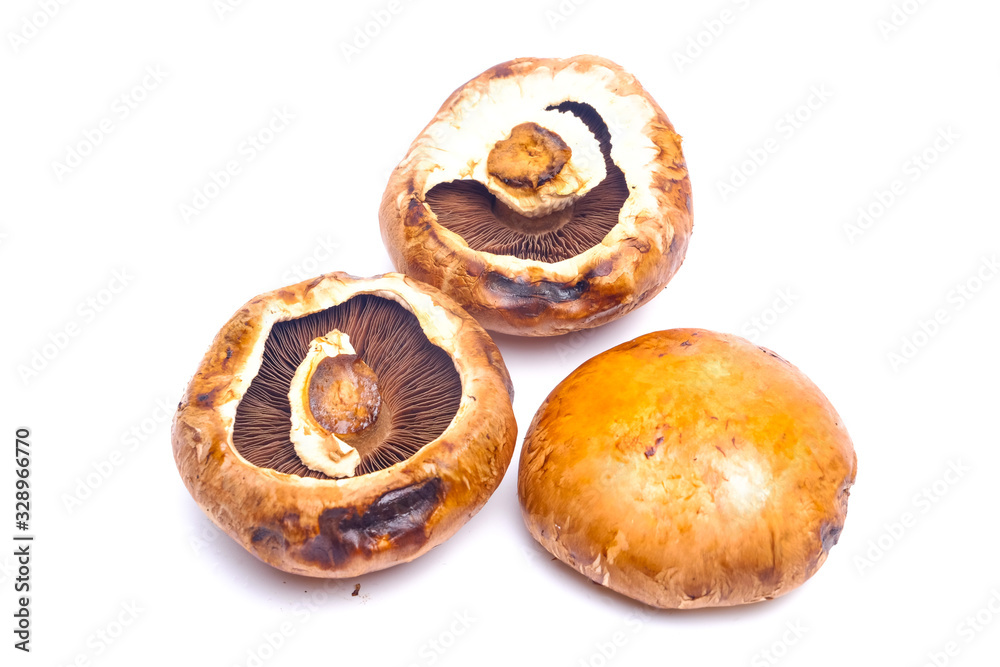 Portobello mushroom on isolated white background Portobello mushroom on isolated white background
