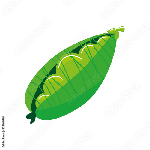 pod pea plant isolated icon vector illustration design