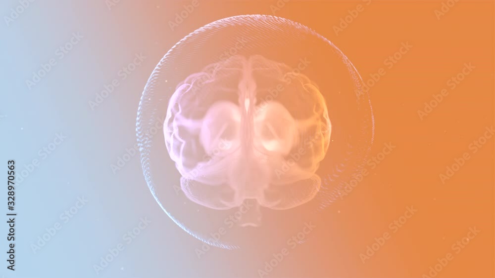 Brain anatomy. Realistic human brain rotating inside transparent capsule over bright orange background.