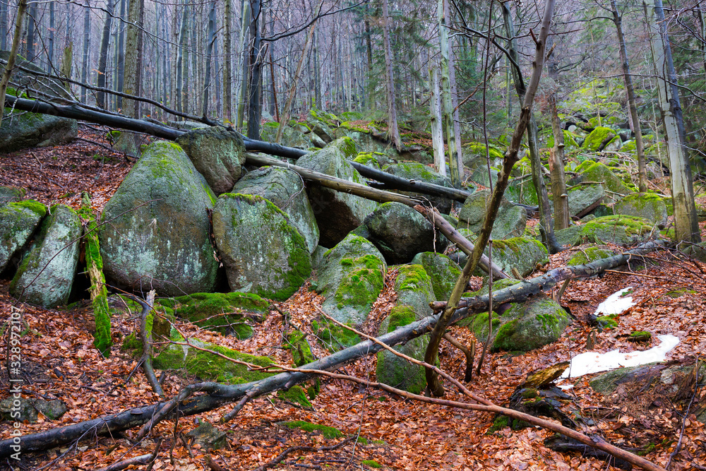 North Bohemia forest Landscape with its Boulders and Trees, Jizera Mountains, Czech Republic North Bohemia forest Landscape with its Boulders and Trees, Jizera Mountains, Czech Republic