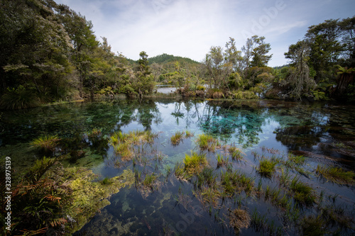 Pupu springs in new zealand