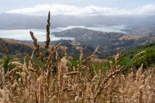 View of Akaroa from the mountains © Camille