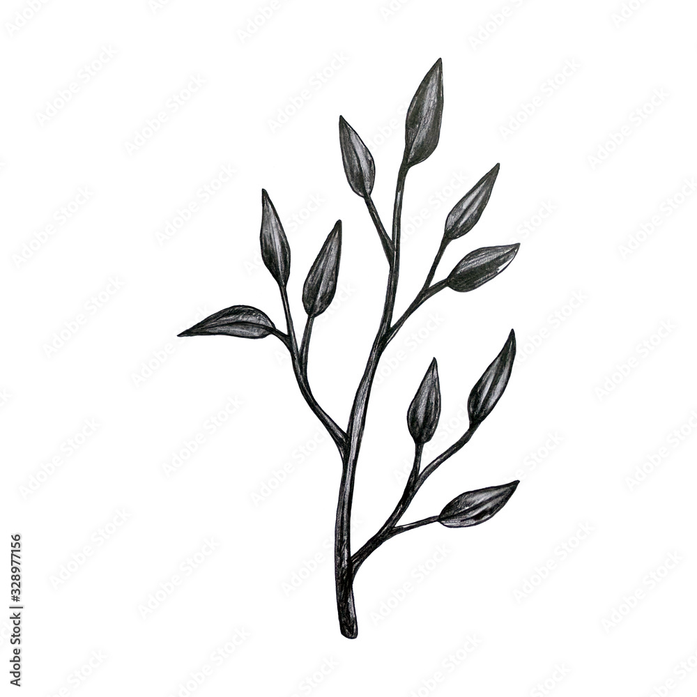 Flower collection with typical flowers and leaves including Lily, Calla, Tulip and etc. Detailed description with drawing pen and pencil. Flower collection with typical flowers and leaves including Lily, Calla, Tulip and etc. Detailed description with drawing pen and pencil.