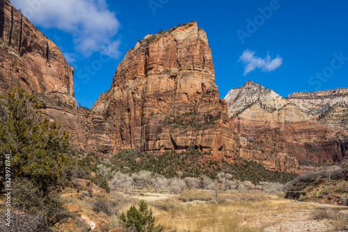View of Zion Canyon from Angels Landgin trail © oldmn