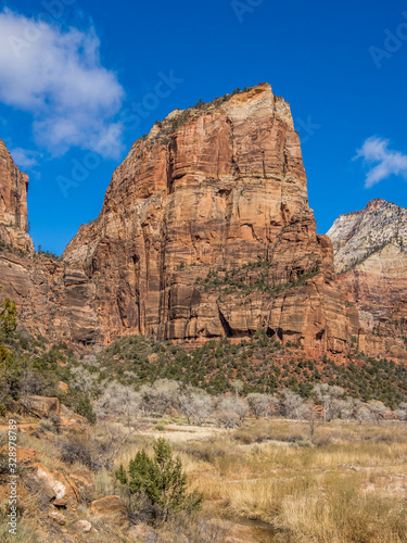 View of Zion Canyon from Angels Landgin trail