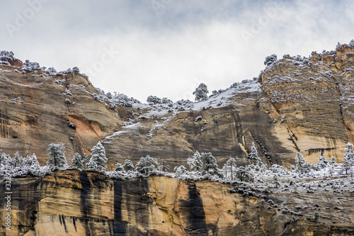 Cliffs of Zion Canyon after the snowfall