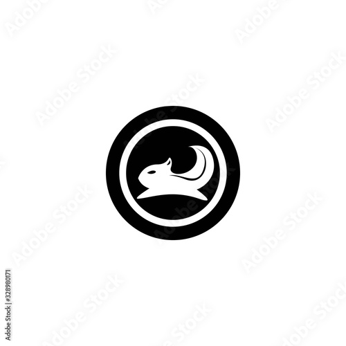 Squirrel logo template vector icon design