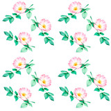 Watercolor seamless floral pattern with wild rose flower.On white background.Template design for wrapping paper, fabrics,textiles, clothes,  wallpaper,cards and others projects.