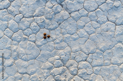 Fotografija Rabbit pellets on the Bonnie Claire Playa in the Nevada desert