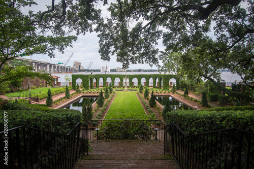 Lush garden landscape