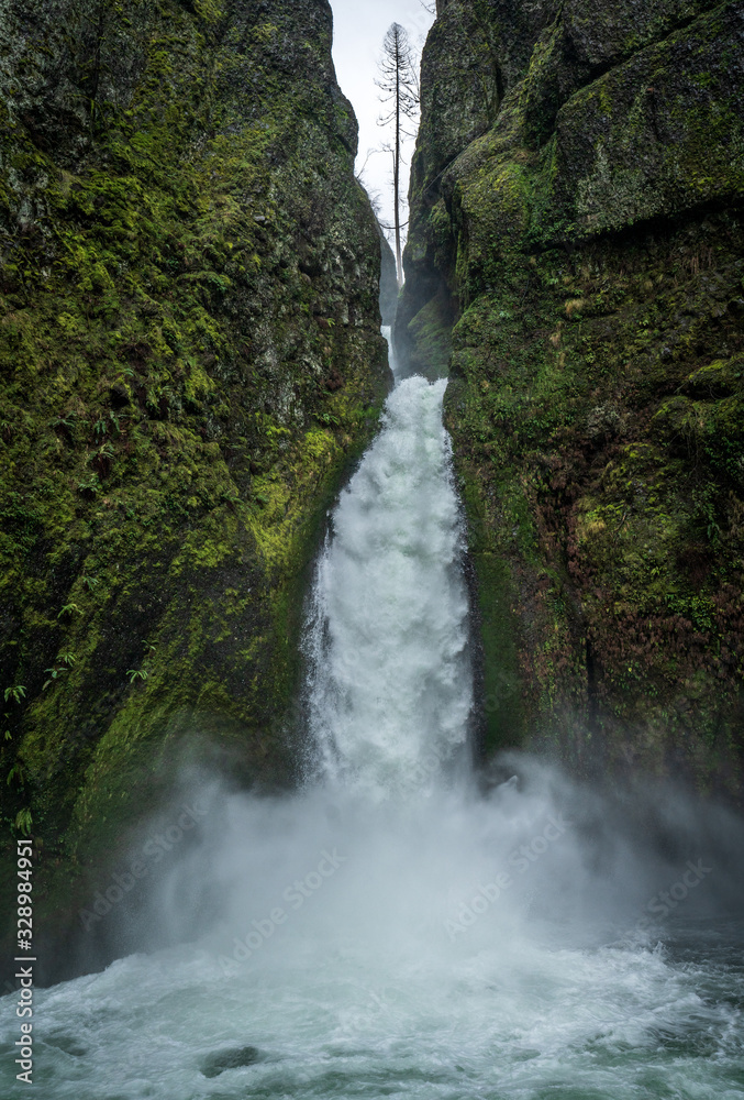 Fototapeta premium Oregon Waterfall in the columbia river gorge