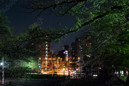 夜の飛鳥山公園 © tsuneo takeuchi