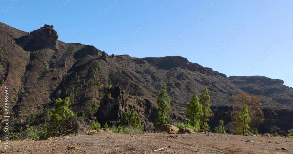A valley surrounded by high hills full of rocky cliffs around lots of trees moving in strong wind during a sunny day with shadows in Grand Canary island 4k slow motion capture at 60fps. A valley surrounded by high hills full of rocky cliffs around lots of trees moving in strong wind during a sunny day with shadows in Grand Canary island 4k slow motion capture at 60fps.