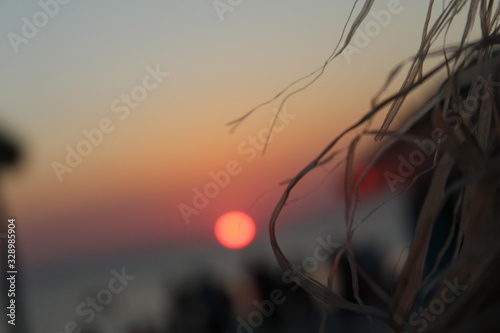 sunset through trees