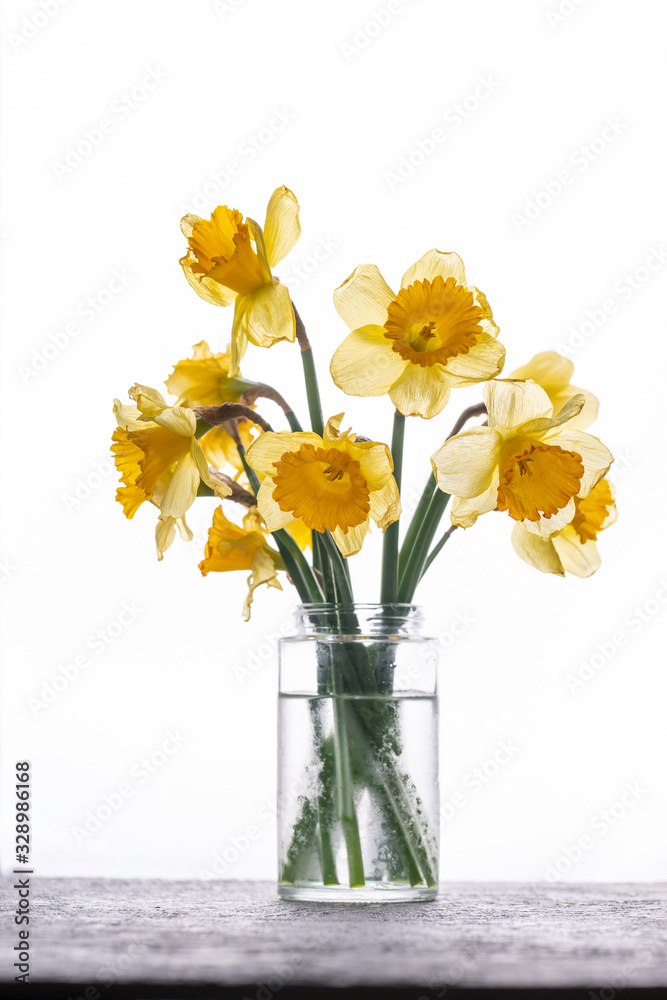 daffodils daffodils