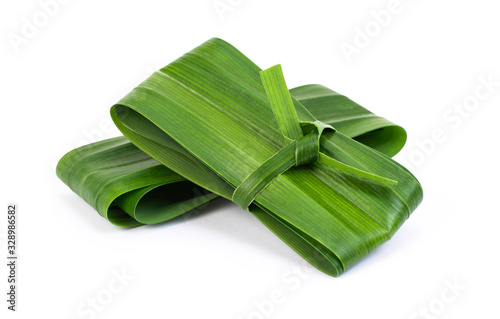 Closeup fresh green pandan leaf( Pandanus amaryllifolius come ) isolated on white background with clipping path. Natural herbal plant, fragrant screw pine and healthy drinks concept. photo