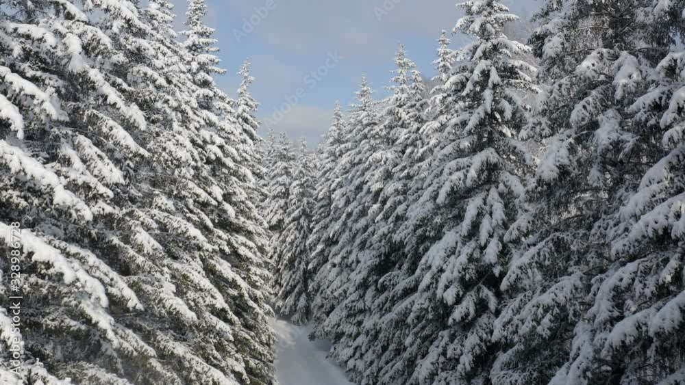 Breathtaking fly over frozen snowy fir and pine trees . Nature concept. Winter time, coziness, enjoying the landscape. No people around, wild nature Breathtaking fly over frozen snowy fir and pine trees . Nature concept. Winter time, coziness, enjoying the landscape. No people around, wild nature