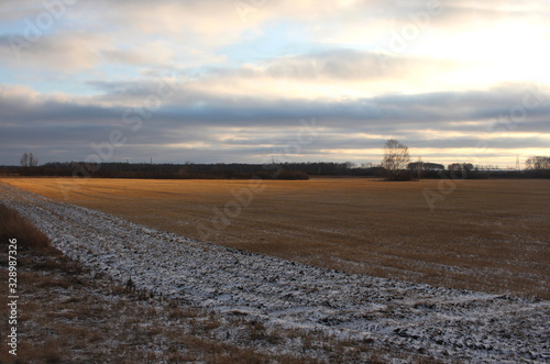 field in winter in the rays of the sunset with dry grass illuminated by bright light with snow