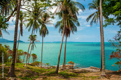 The view of sea  blue sky and rock aside the shore with coconut palm trees
