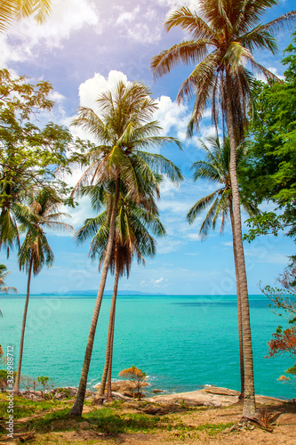 The view of sea, blue sky and rock aside the shore with coconut palm trees