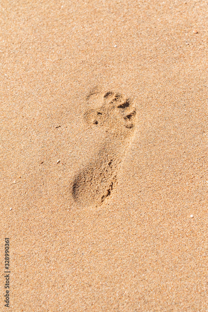 Footprint on a wet sandy beach in the sand. Footprint on a wet sandy beach in the sand.