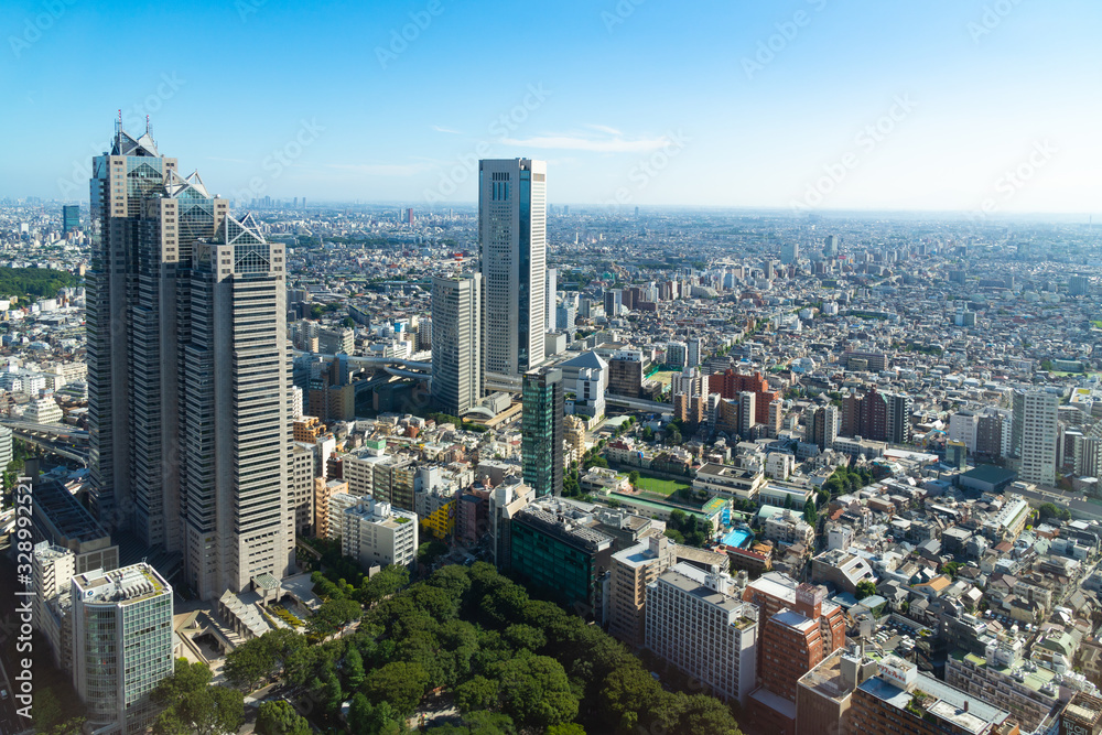 Aerial cityscape Tokyo city.