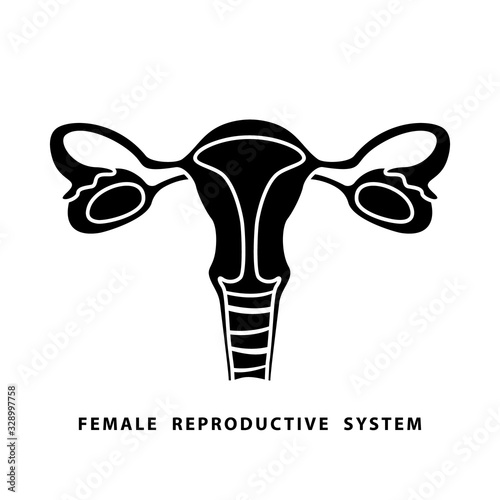 Cutout silhouette Female reproductive system icon. Outline template for anatomy poster. Black simple illustration. Flat isolated vector image on white background. Cartoon vagina and uterus