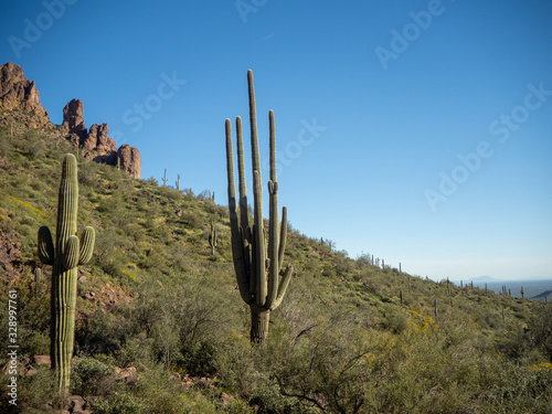 Superstition Mountains with Saguaro Cactus in Arizona Desert © LaLa Projects
