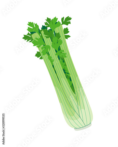 Simple Fresh Celery Isolated on White