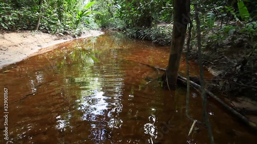 River and waterfall in Lambir, Borneo, Malaysia photo