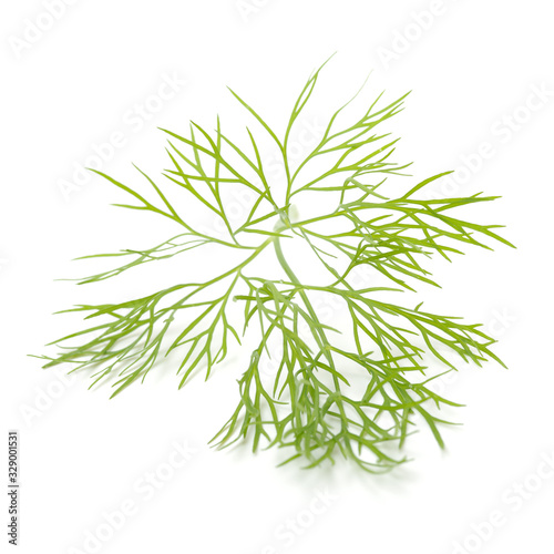 dill isolated on white background 