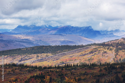 Autumn in Colorado © Galyna Andrushko