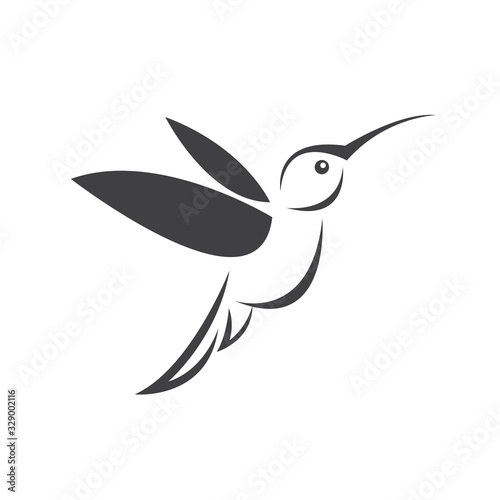 Vector image hummingbird design on white background. icon symbol. Illustrator. Black and White