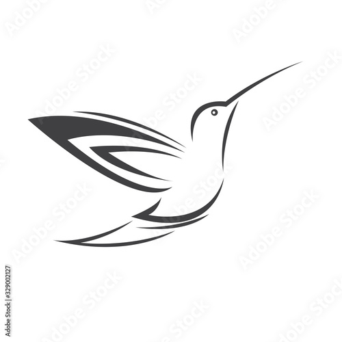 Vector image hummingbird design on white background. icon symbol. Illustrator. Black and White