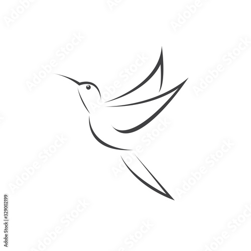 Vector image hummingbird design on white background. icon symbol. Illustrator. Black and White