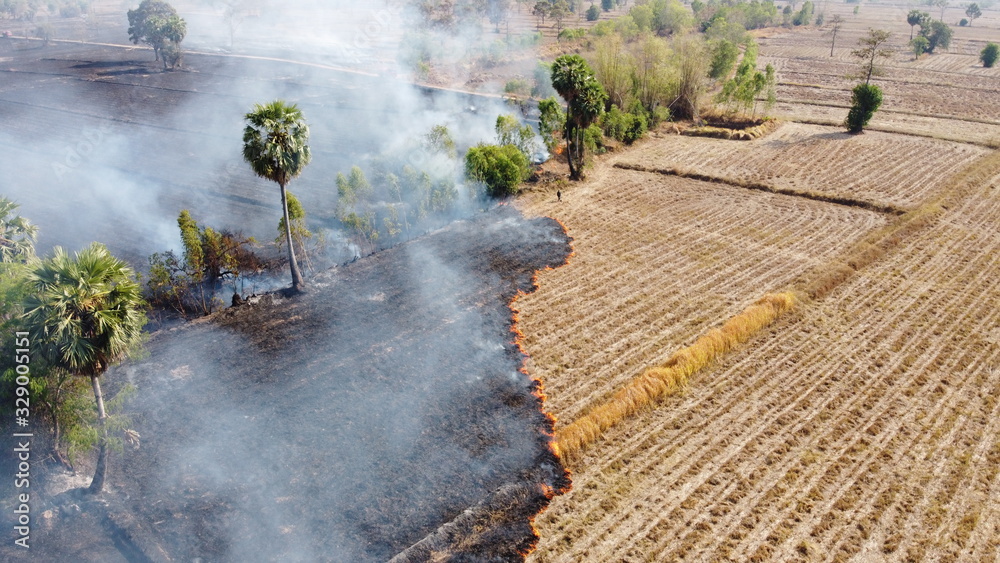 Fire burns stubble on the field. Fire in summer.
