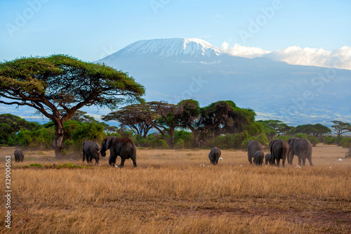 Canvas Print Snow on top of Mount Kilimanjaro in Amboseli