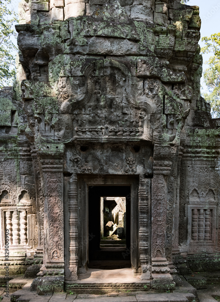 Ta Prohm temple near Angkor Wat, Cambodia