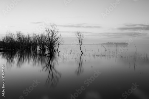 A perfectly symmetric view of a lake, with trees and clouds reflections on water