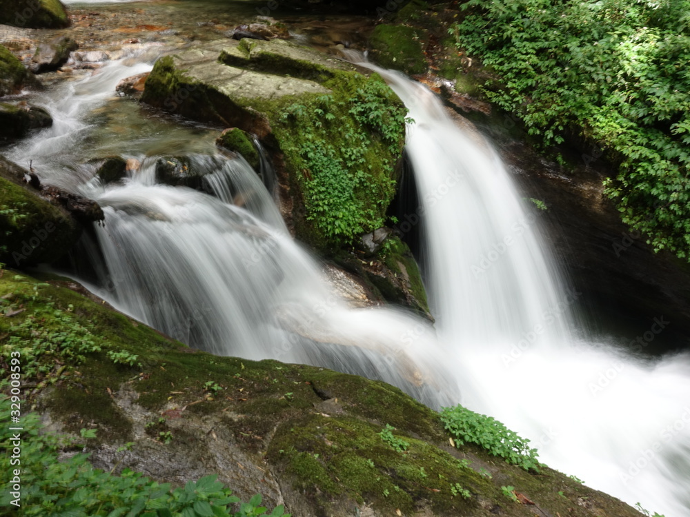 Fototapeta premium 山林の川流れ3