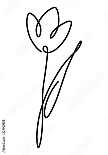One line drawing. Black and white drawing, flower blooming, romantic picture. Abstraction