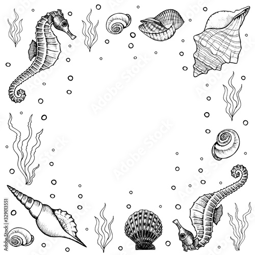 Frame with  seabed dwellers. Seahorse, shells and seaweed hand drawn doodle outline. Square template for social media, flyers, posters. Stock vector illustration isolated on transparent background.