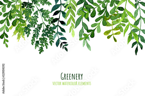 Greenery drop header, watercolor botanical background, leaves and branches photo
