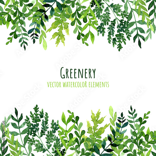 Greenery seamless borders, watercolor leaves and branches