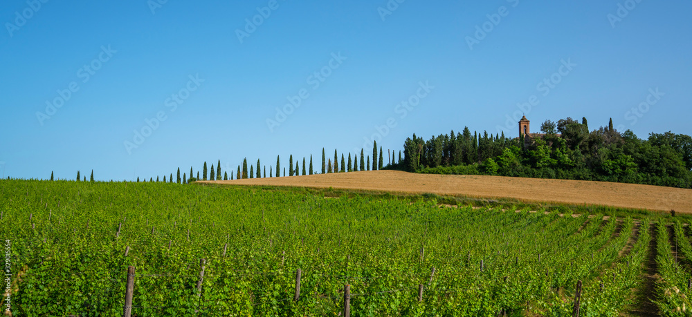Obraz premium Beautiful view in Tuscany, Italy. Rural landscape. Countryside hills and meadows, green and yellow fields and sky. Beautiful world.