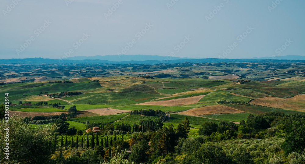Traditional countryside and landscapes of beautiful Tuscany. Fields in golden colors and cypresses. Holiday, traveling concept. Agro tour of Europe.
